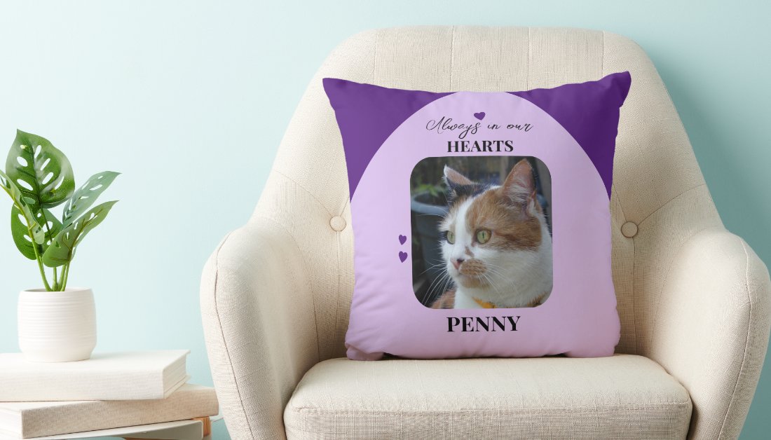 zazzle.com/z/oj2rg76h?rf=…
#petloss #throwpillow #animallover