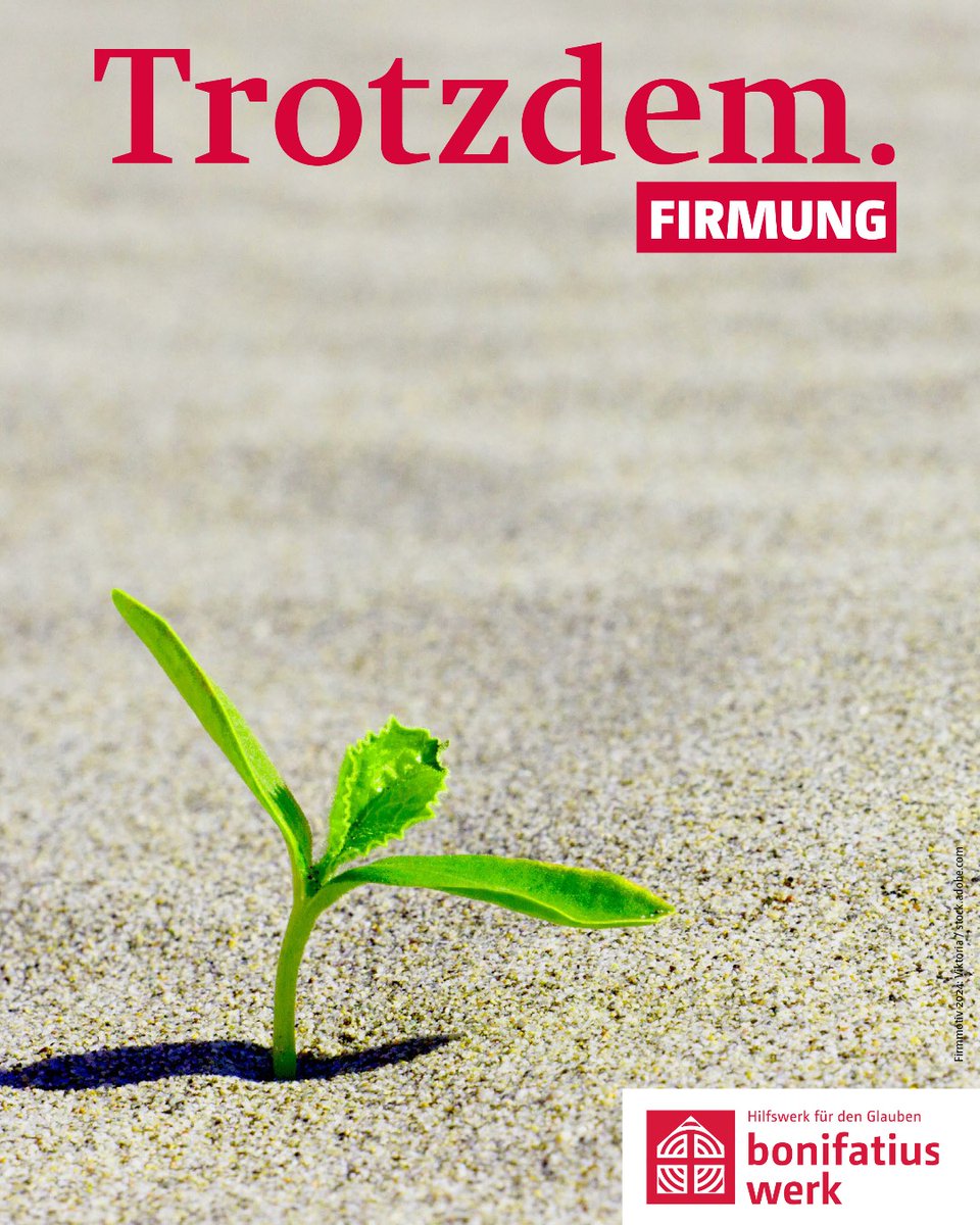 '#Trotzdem' heißt das Leitwort der diesjährigen #Firmaktion des #Bonifatiuswerkes.🕊️🙏 Unter ow.ly/USxX50RoKvU gibt es spannendes Begleitmaterial zur Firmvorbereitung und Web-Extras wie die #FirmApp zum Download. Schauen Sie rein!