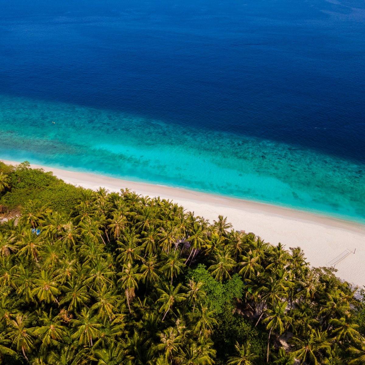 Experience bliss on the shores of a these islands, where turquoise waters beckon and soft sands invite you to unwind. 🌊🏖️

#islandrooms #staylocal #maldivesgetaways #visitmaldives