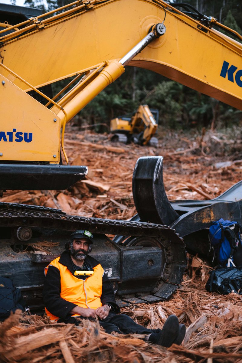 Bob Brown Foundation tweet media