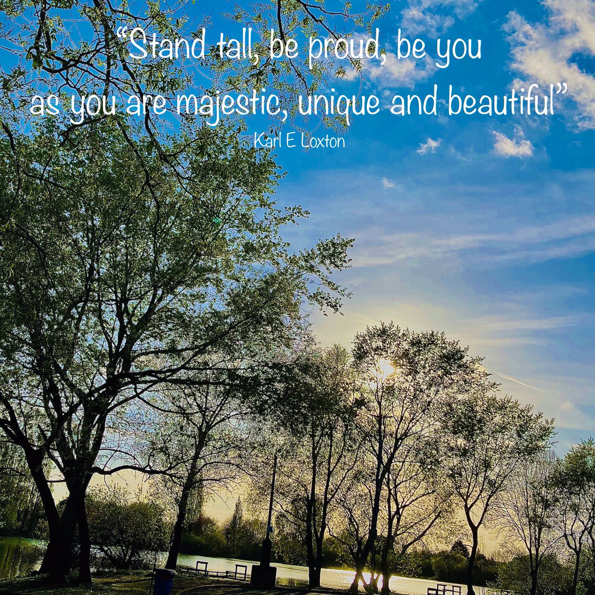 #ThoughtForTheWeek #StandTall #quotesaboutlife 
“Stand tall, be proud, be you as you are majestic, unique and beautiful”