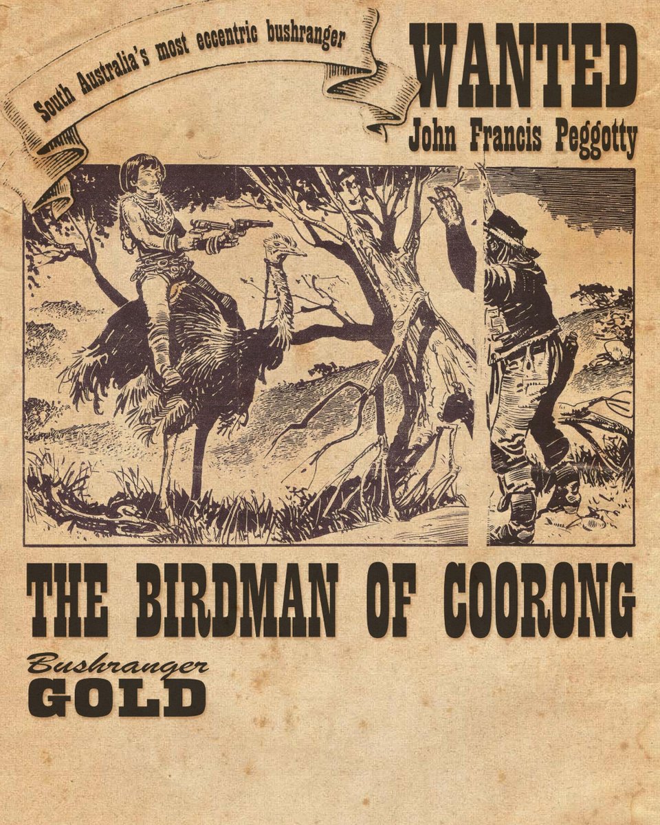 Have you ever heard of the Birdman of the #Coorong? You're no doubt familiar with the exploits of other notorious #bushrangers, such as Ned Kelly, Ben Hall, and Captain Thunderbolt, but this ostrich-riding felon is less etched into our national psyche: ausgeo.co/birdman