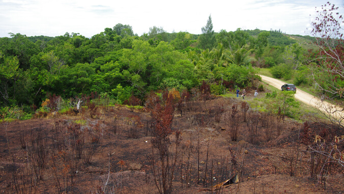 #UHMResearch: Pacific Islanders used fire to shape landscapes - New wildfire-based research examined the relationships between historical human land use, climate, and fire occurrence across Micronesian islands ➡️ bit.ly/43GKej2