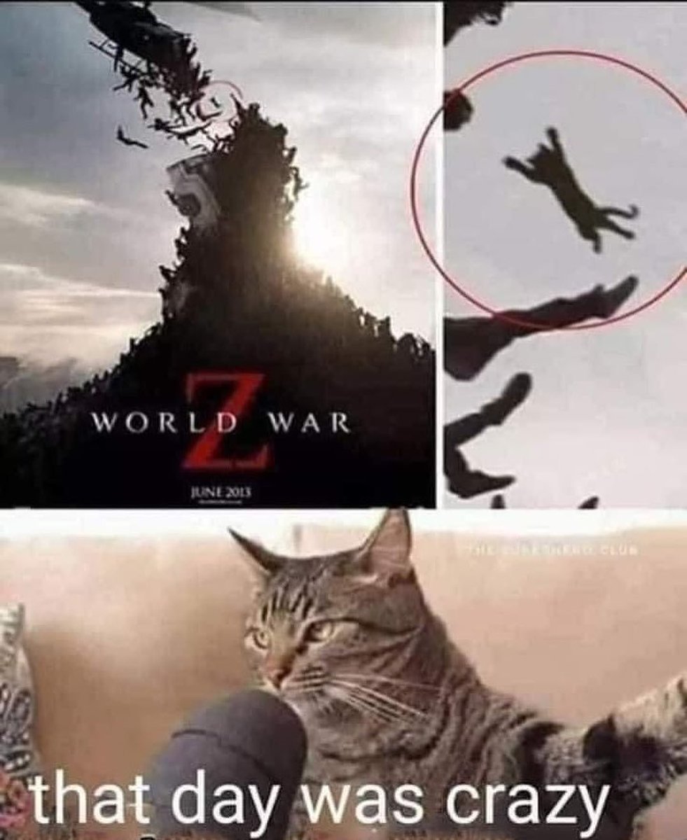 Punch Cat tweet media