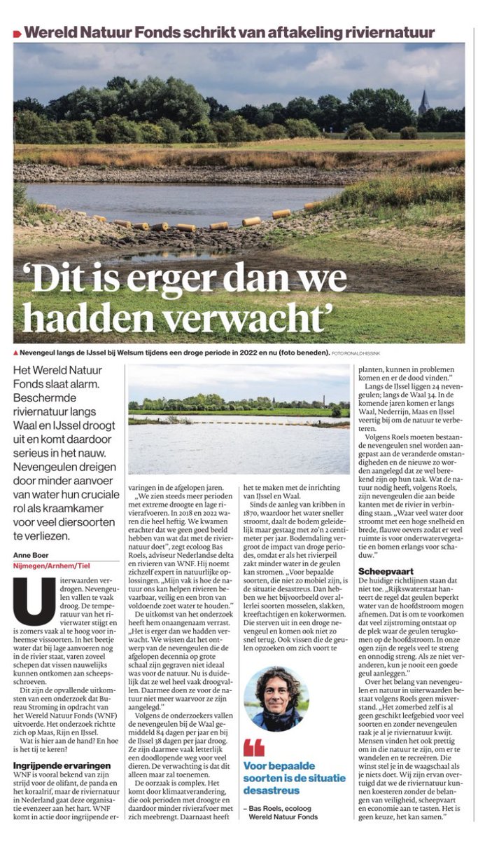 Riviernatuur droogt uit👇 (Via De Gelderlander) Het komt door klimaatverandering en door de inrichting van IJssel en Waal. Sinds de aanleg van kribben in 1870, waardoor het water sneller stroomt, daalt de bodem geleidelijk maar gestaag met zo'n 2 centimeter per jaar.