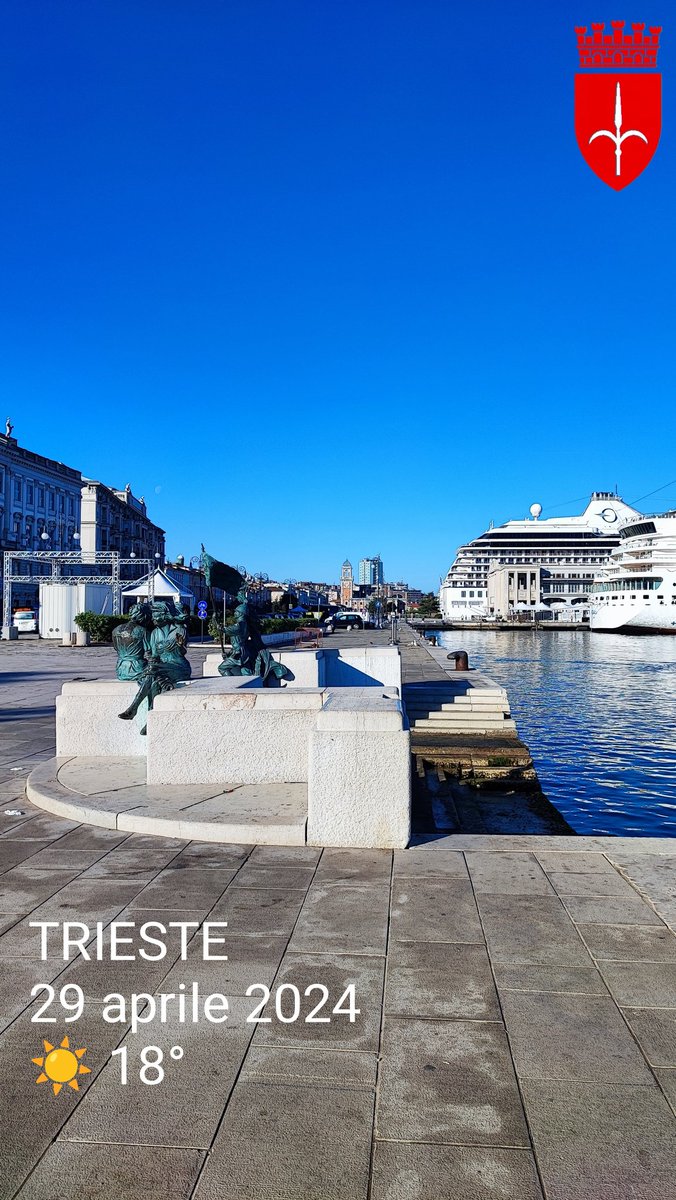 Buongiorno #Trieste, buon inizio di settimana 🌼