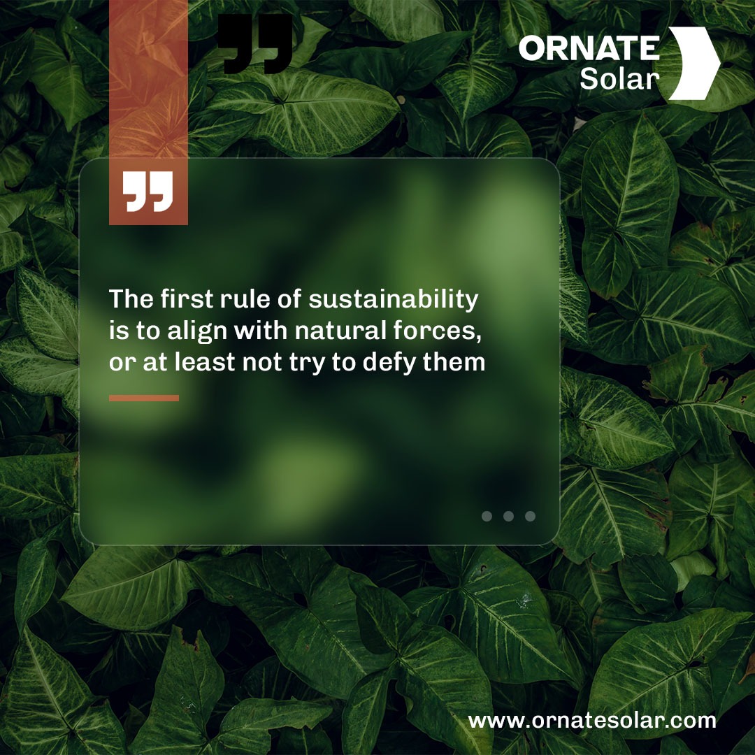 Sustainability thrives when we align our actions with nature's principles.
.
.
#OrnateSolar #Sustainability #Mondayquote