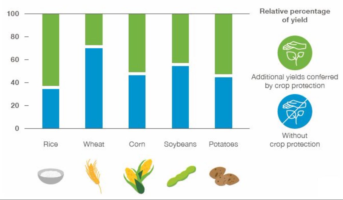 Why do we even need pesticides? Globally, farmers lose 30 to 40 percent of their crops because of pests and diseases. Crop protection help farmers produce more food on less land to help meet rising demand from growing population.