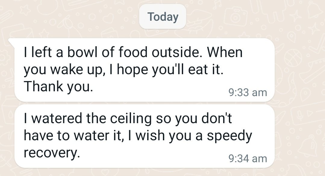 Oh to be blessed with flatmates like this. 😭😭😭
I couldn't water the roof the past two days because I was unwell. Periods, low bp and fever. And then there goes my flatmate. 
Two nights ago I would have unalived had she not offered me warm food and hot soup. 😭