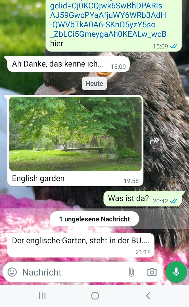 Gestern schickt sie mir einfach ein Bild und schreibt englisch. Das ist ne Frau die ich mal beim Füttern getroffen hab, sie hat meine Nr für Notfälle, letztens hat sie mal gefragt was ich fütter und dann schickt sie einfach so ein Bild, why?  🥲