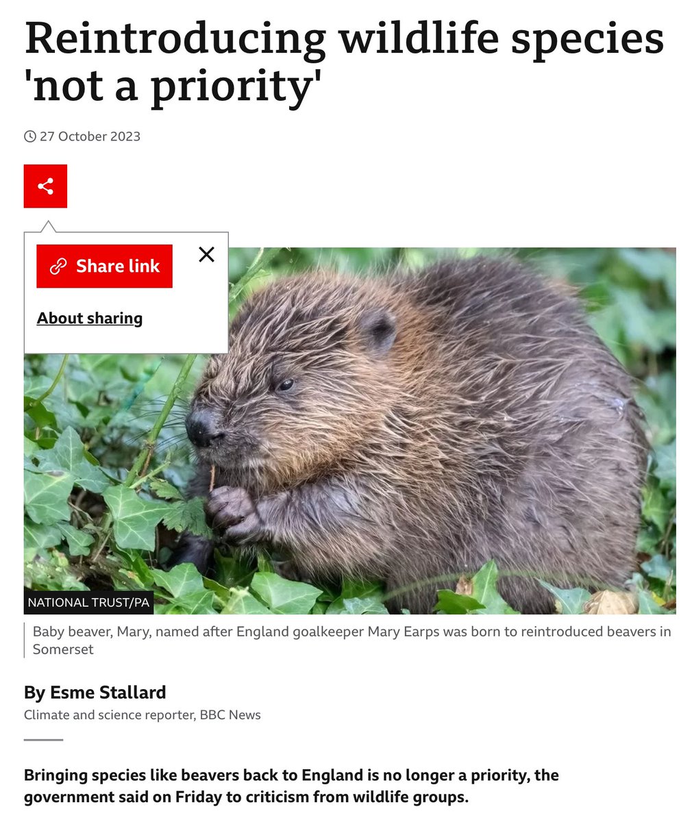 Everybody knows that native beavers are back and playing a vital role in landscapes across Europe. But hardly anyone knows that every single beaver living free in England and Wales is there as a result of *illegal* releases. If people hadn’t taken it upon themselves to just get…