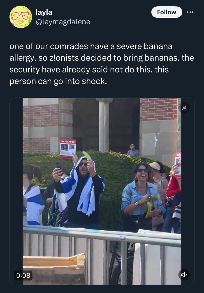 For anyone confused re the birth of the Banana Revolution:

A #FreePalestine protester posted a vid of guy dancing & waving 🍌 at a counter rally. One of the terrorists is allergic, so she took offence

She locked her account so all I have are pics👇🏼, but the vid was priceless 😂
