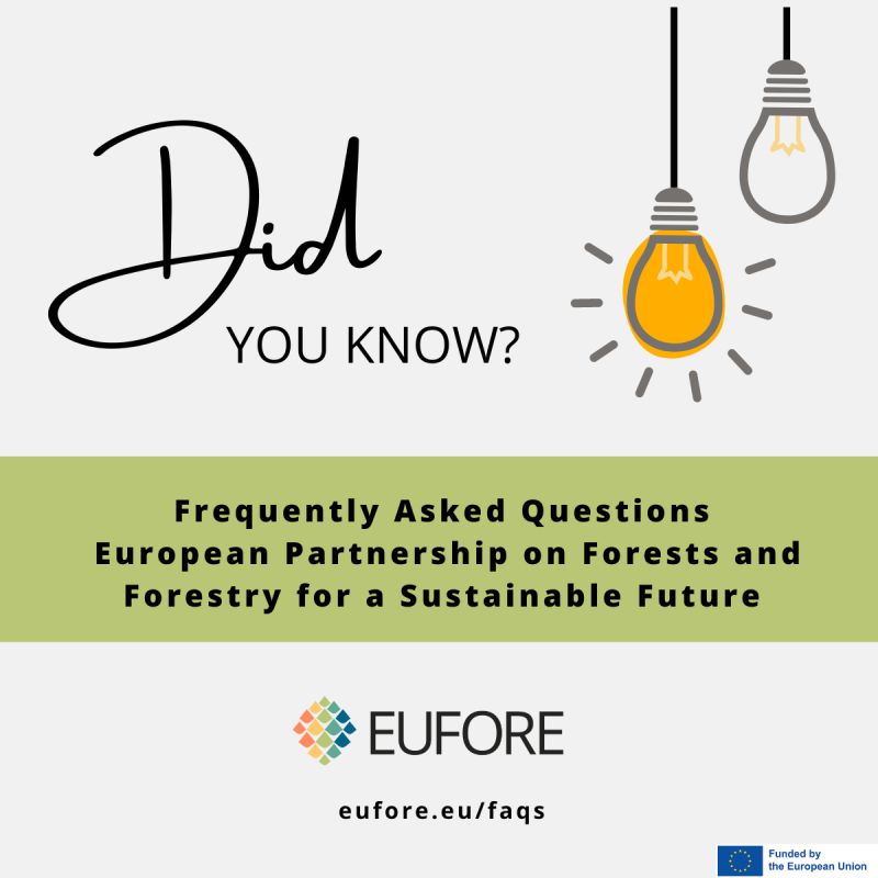 🌳What is the European Partnership on Forests and Forestry for a Sustainable Future? 🌲What does it aim to do? 🌳How can I (or my organisation) get involved? ➡️Find out more in our Frequently Asked Questions: eufore.eu/faqs/ #research #innovation #eufore