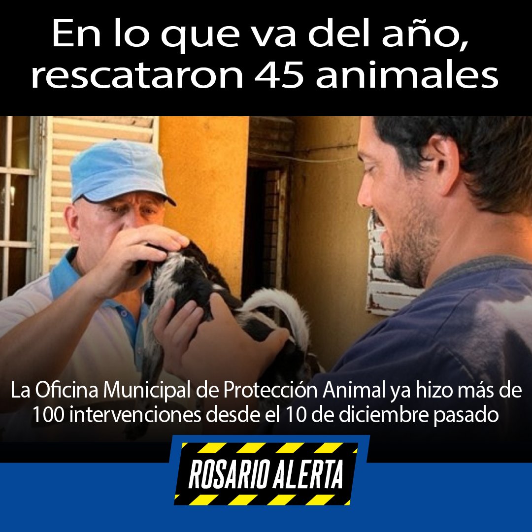 #Rosario #ProteccionAnimal #DíaDelAnimal   rosarioalerta.com.ar/site/archivos/… a través de <a href="/RosarioAlerta/">Rosario Alerta</a>