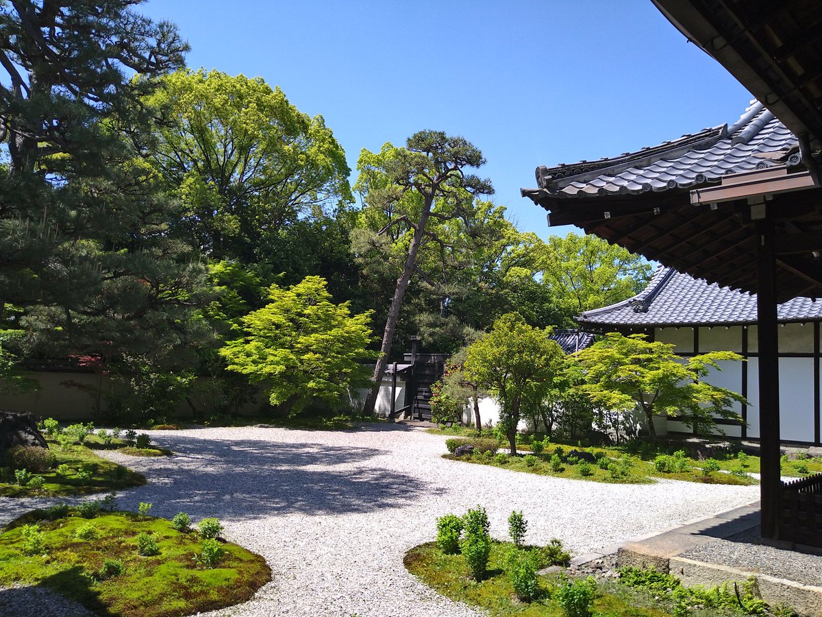 昨日は京都御所と廬山寺と平安神宮に。廬山寺の紫式部邸宅址、お庭がとてもよくて。木々がそよそよしてその音も風も心地よく癒やされた。