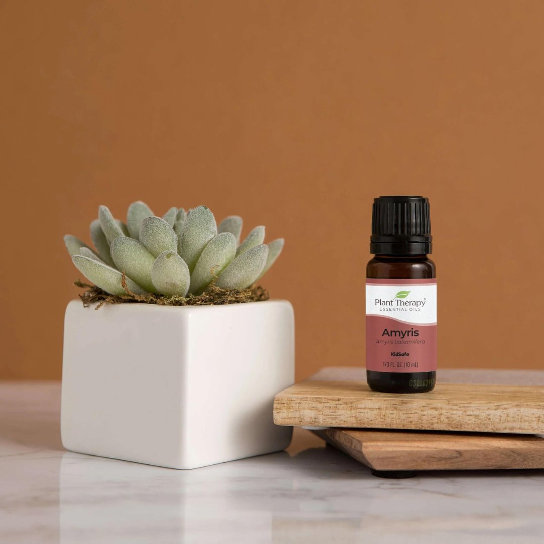 OilyPod's tweet photo. Amyris has a relaxing effect on the mind, helping to support overall emotional well-being when nervous tension and everyday stressors begin to take hold.

It helps to soften and smooth the appearance of fine lines in mature or sensitive skin.

Shop now ↗
#oilypod #amyris https://t.co/wNTbaslJTd