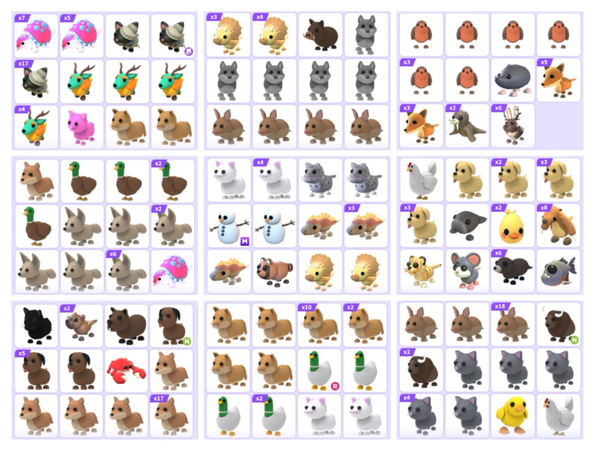 trading all my adopt me pets for robux!! only looking for trusted buyers, i'll go first. dm me or reply if you're interested! (!!! Please tell me the price range if you're interested, idk them lol)

#roblox #adoptme #adoptmetrading #adoptmetrades #robux #robuxtrading
