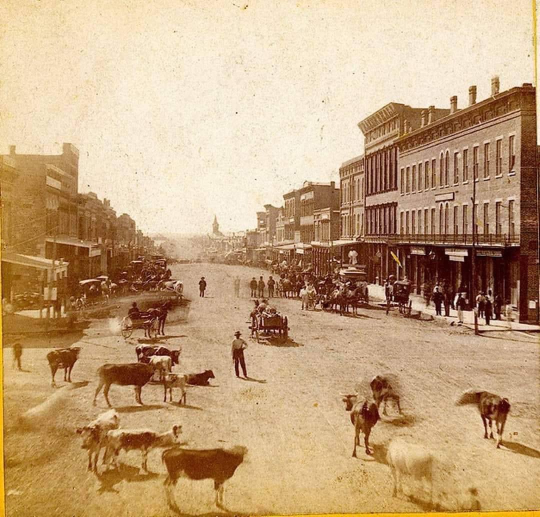 Massachusetts Street 

1867 

(📸: Kansas State Historical Society)

#RockChalk