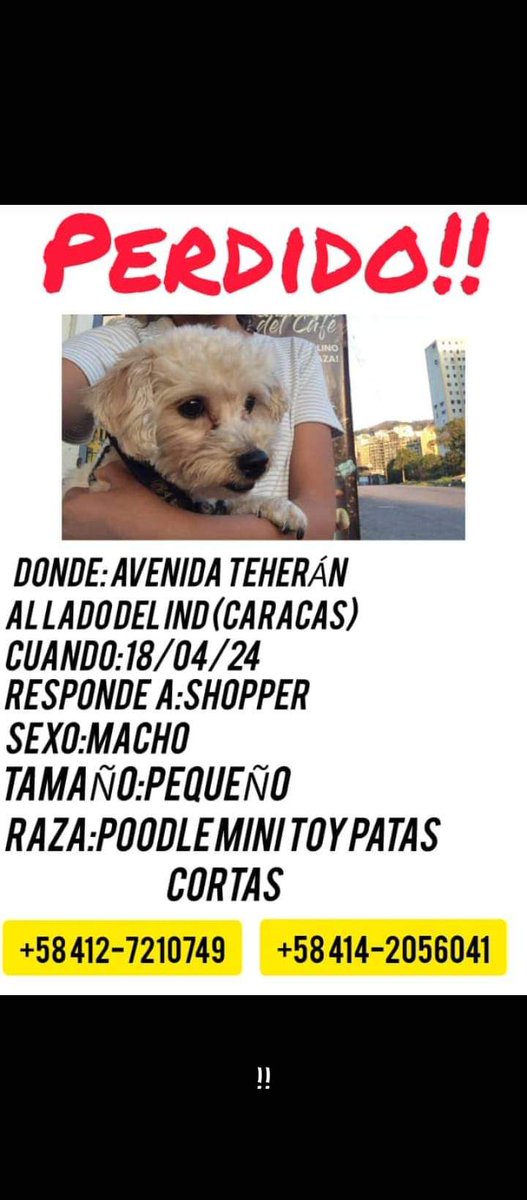 Se busca, Montalbán Caracas