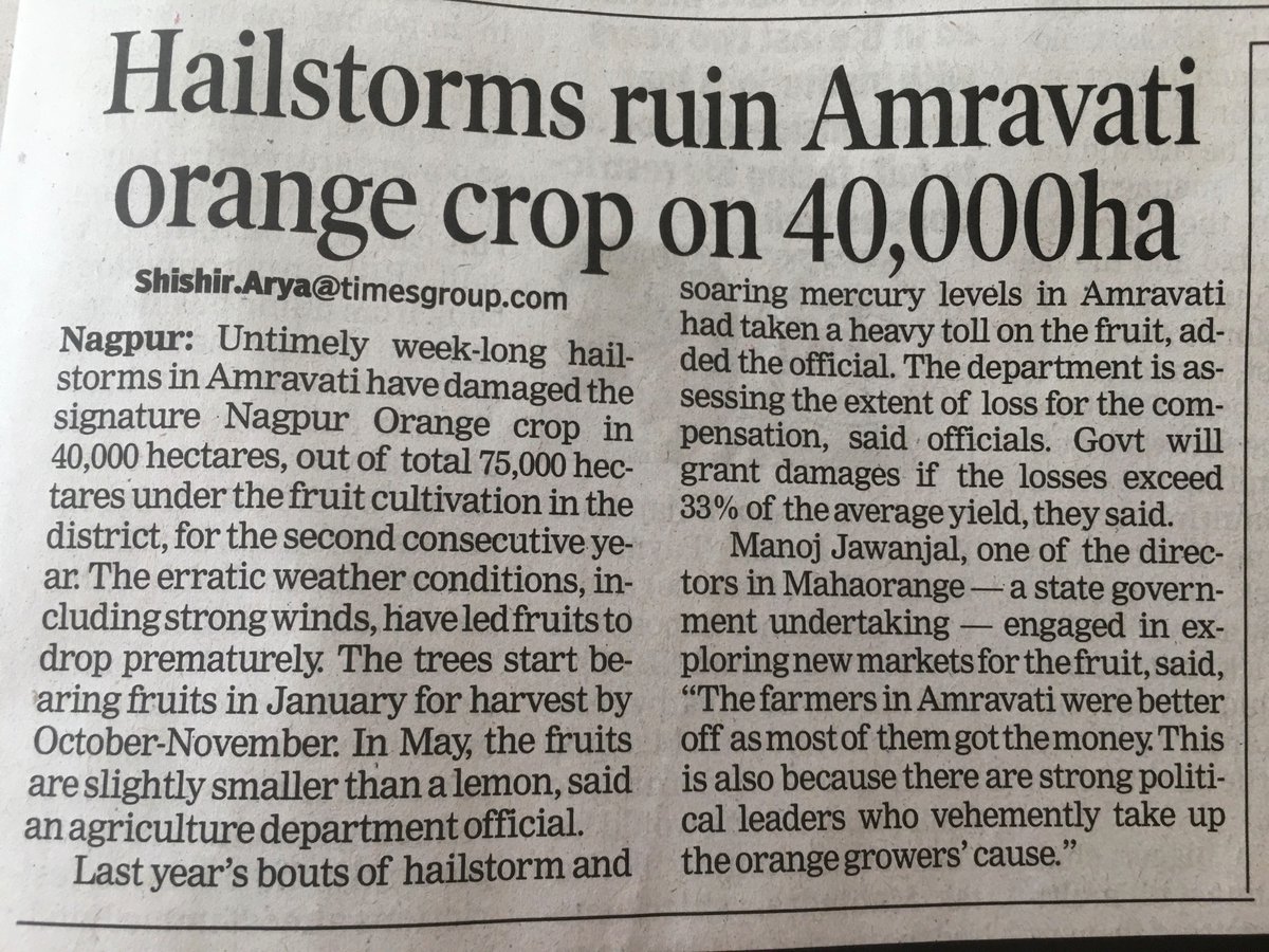 Nagpur Orange-

Weather conditions are a challenge for agricultural Geographical Indications (GIs).

Hailstorms, strong winds & soaring temperatures in Amravati have damaged Nagpur Orange crop in 40,000 hectares.

#NagpurOrange #Maharashtra #Vocal4GI 
#GITag #GIsofIndia 

📰:#TOI