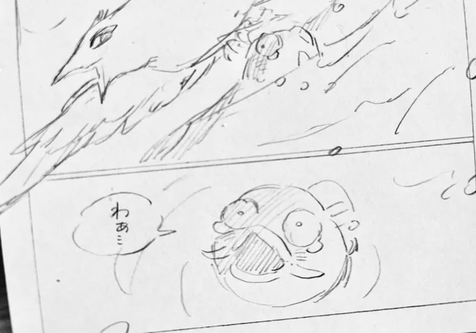 可愛いです コイさん 