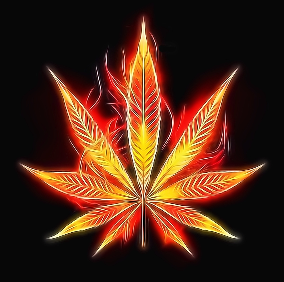 Let's get high #Fam ✌️💚😎🌿🔥☁️☁️☁️
#StonerFam #WeedLife #CannabisCommunity #CanadianCannabis #cannabisculture #WeedLovers #420life #Weedart #Weedporn #LeafArt