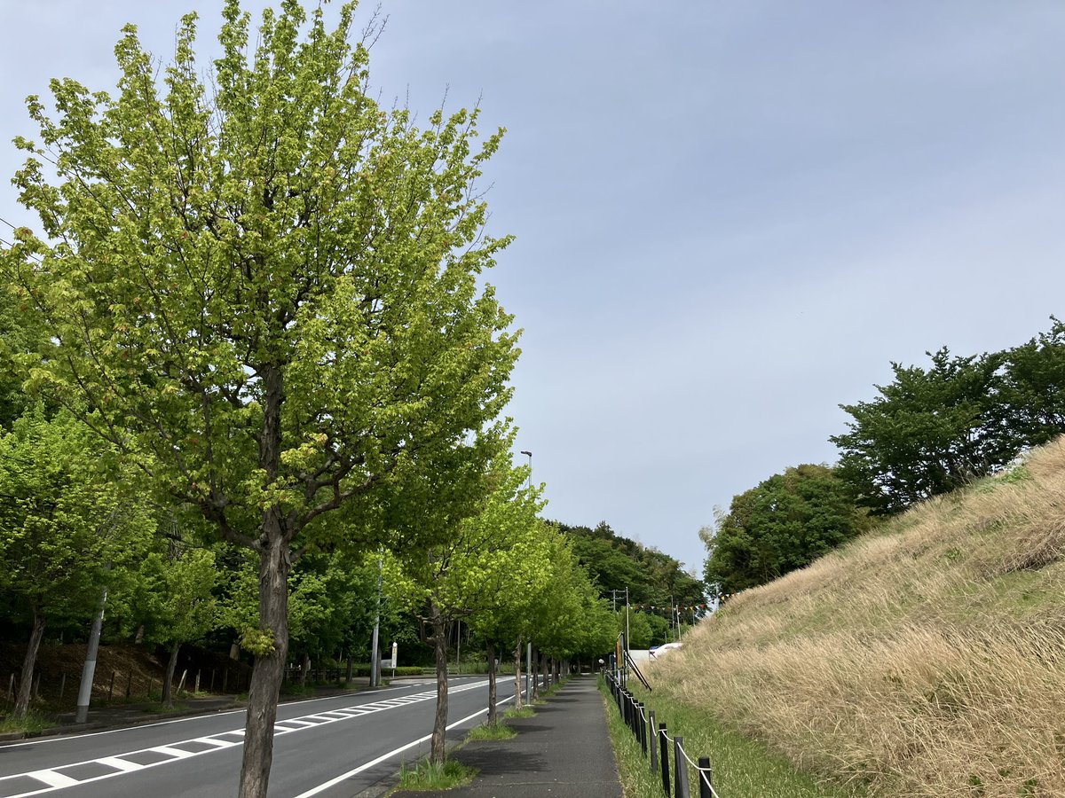 横浜市青葉区から聴いています。午後から実家の親父さんのケアなのでそれまで図書館で雑誌を読みながら耳はFM京都　#FM京都  #わんふぁ　こちら横浜市は晴れています。