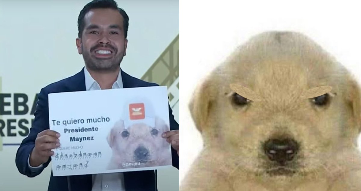 El perrito viendo que Maynez lo saco en el debate jajaja #DebateINE