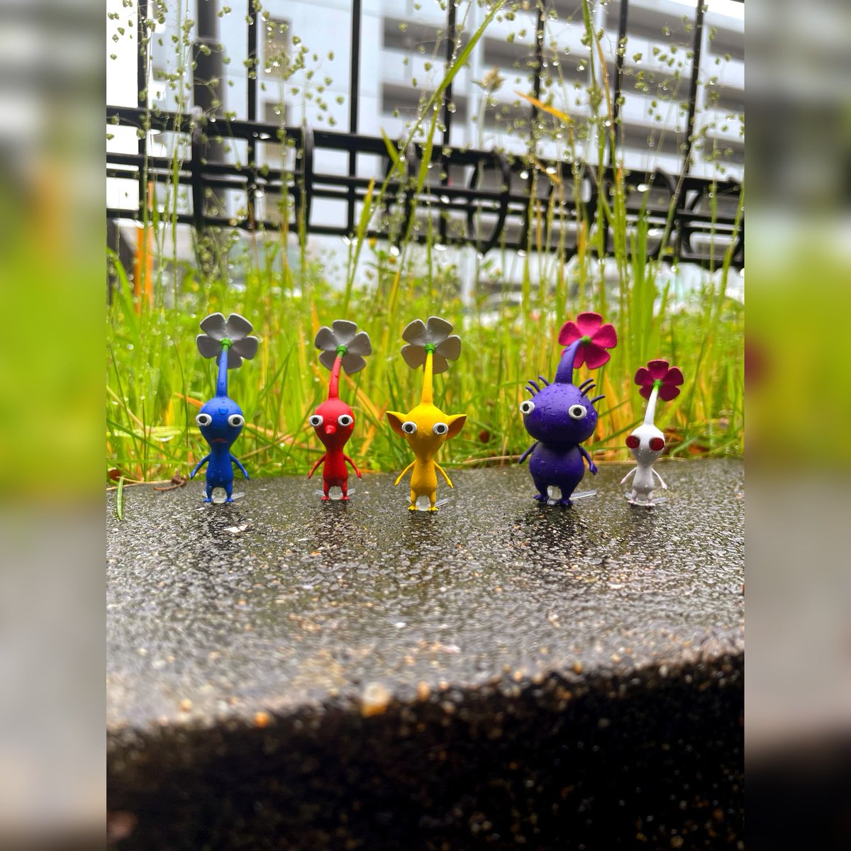 nikkysamu's tweet image. #ピクミン220周年
#ピクミン2