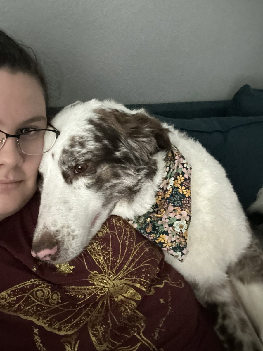 Marvelthedoodle's tweet photo. Freins we’ve been off the X for a while because we moved ! We have a smaller yard but nicer newer home of our own. We’ve been chill. we had 2angry cat loving Karen’s come by the 1st day we moved in saying we are big scary &amp;mean for barking 😣 we are dogs @rabidrocky1 @HocktheHam https://t.co/MsxDFb5vC0