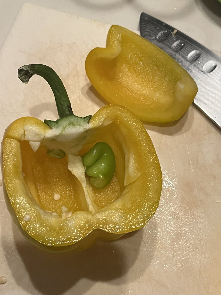 can anyone explain the little pepper inside a bigger pepper thing?