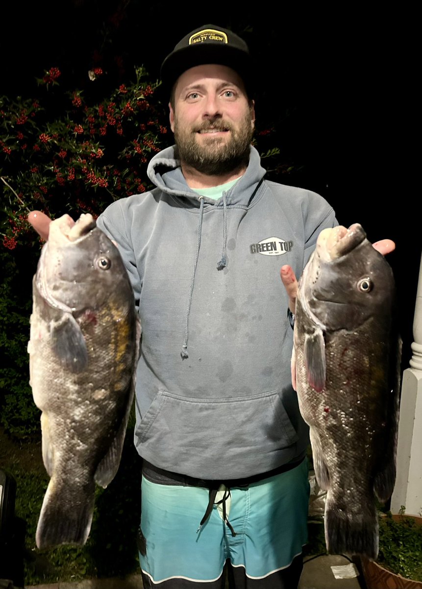 fishing_va's tweet photo. #tautog #blackfish @fishing_va https://t.co/sRZrCQEprT