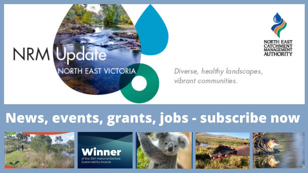 It may be cooling down but the events, grants and jobs are hotting up. It's the final call for the Victorian Landcare Grants 2024. Don't miss the latest NRM Update mailchi.mp/necma/nrm-upda… or subscribe at bit.ly/3mG2eUU.