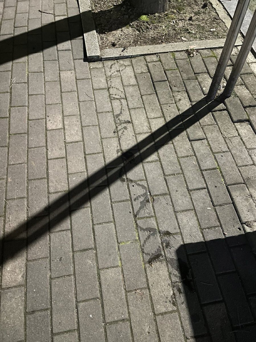 호두오줌싸는줄모르고
잠깐딴곳보고그냥걷다가
뒤돌아보니까 호두 오줌싸면서 오고있었어
미안
호두의 궤적