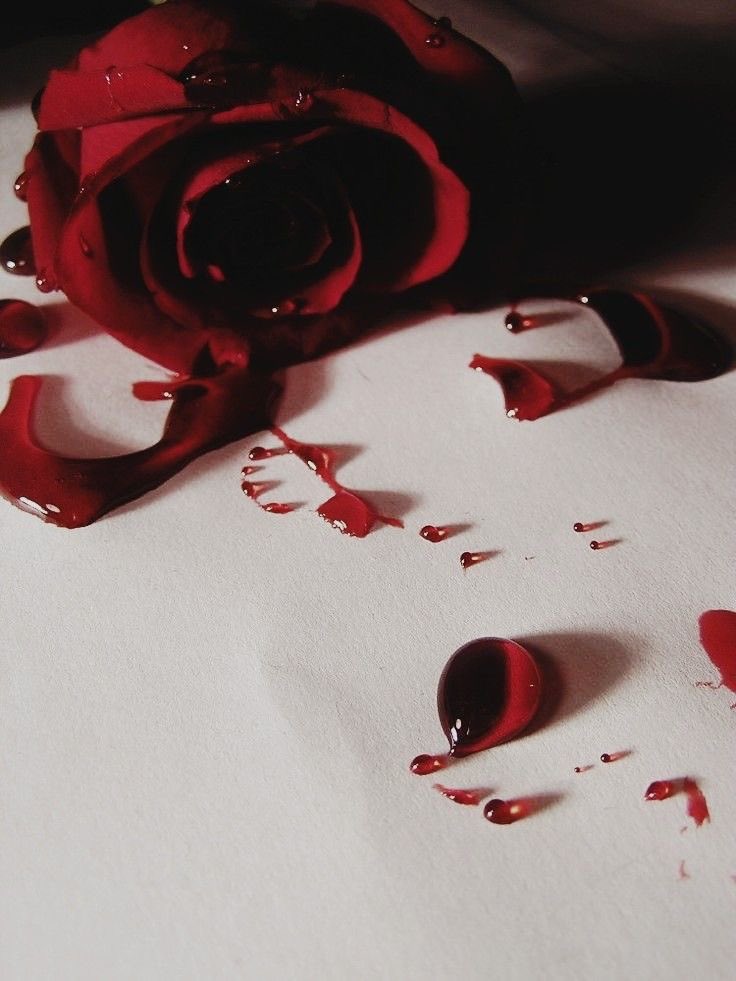 A crimson teardrop falls from the forbidden flower Thorns that bleed, if touched by the wrong hands But his fingers are feebly numb, from trying to hold her Too tight. #BrknShards #fairytalepoets #ravenswriting