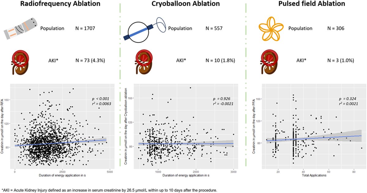 🧵From <a href="/hrs_journal/">HeartRhythm</a> large cohort of 2,500 patients, AKI following AFib ablation was 3-4 folds higher with RFA compared to Cryo or pulsed field ablation. AKI is rare with #PFA.

Duration of ablation was:
- 27 min for RFA
- 17 min for Cryo
- 1.3 min for PFA