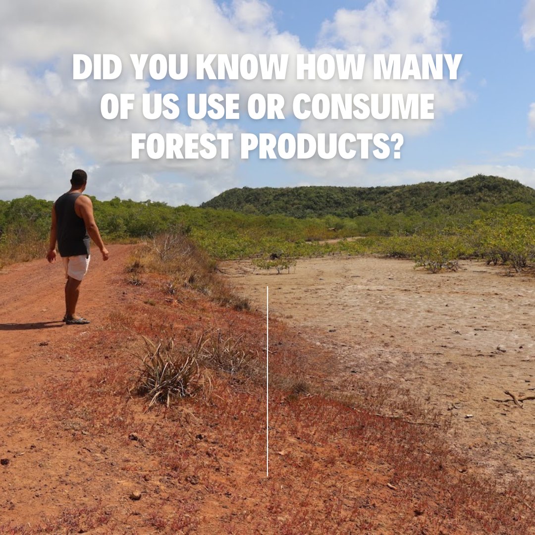 Did you know how many of us use or consume forest products? 🤔

#ARCrestoration #EmployToRestore #Donate #PartnerWithARC #ForestProducts