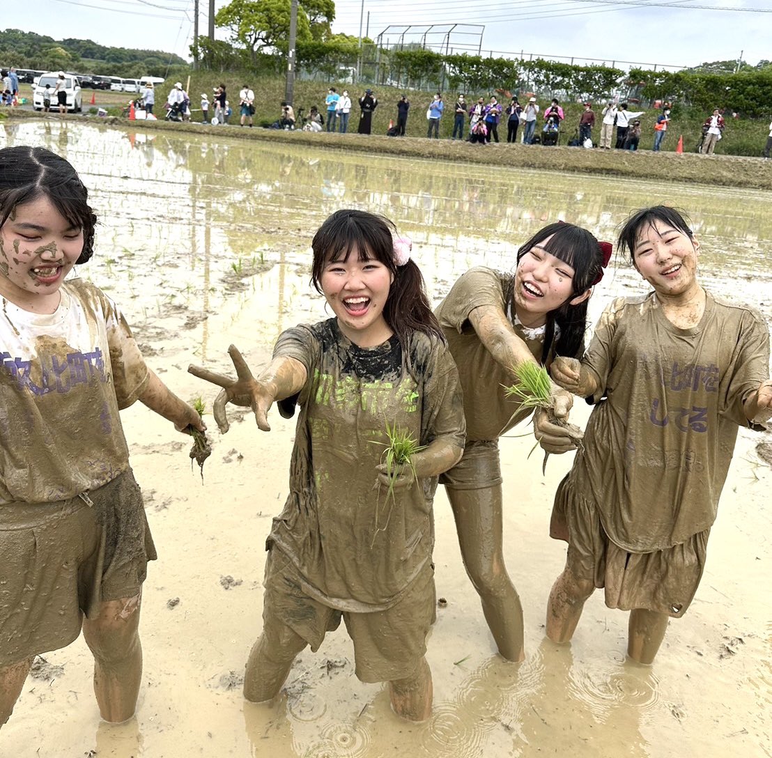 知多娘。 tweet media