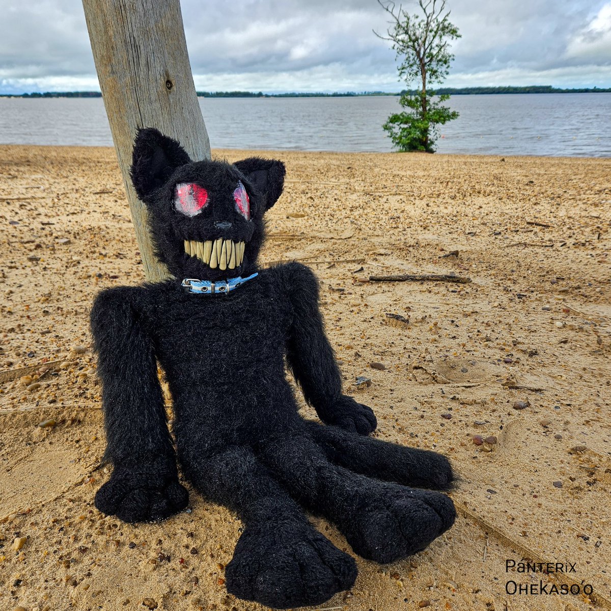 Todo bien
Primeras fotos del viaje, pasando por Concepción del Uruguay.
#Plush #furryfandom