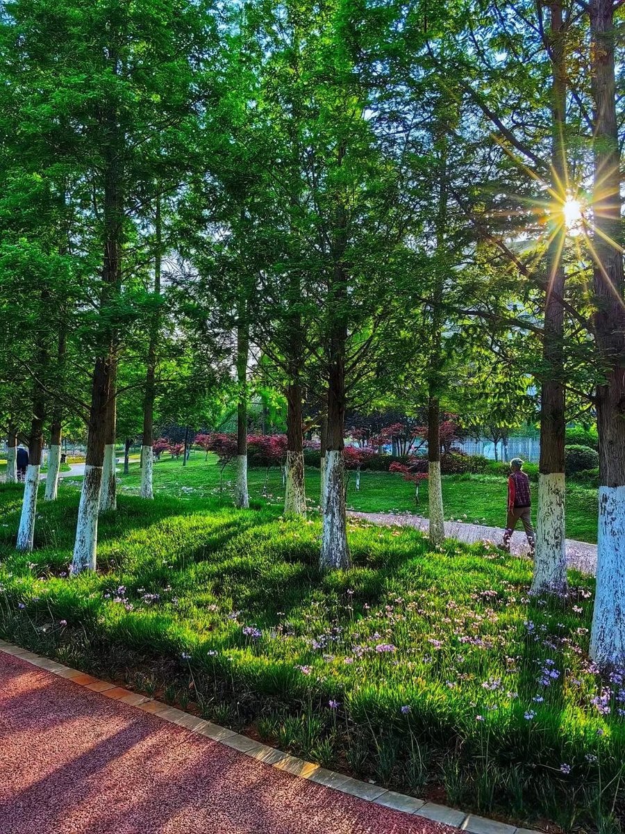 KunmingArea's tweet image. Kunming Anning is buzzing with life! 🌟 Where roads meet gardens and city views blend with verdant landscapes, it’s more than a place to live—it’s a place to thrive. #UrbanOasis #LivableCities