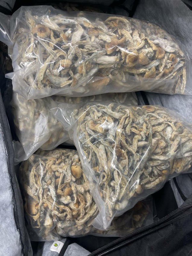 Where are my shroom lovers at?❤️🍄🔥
shrooms deliveries for free!😌
#psychedelics #shrooms #Mushroom #trippy #ChronicPain #anxietyrelief