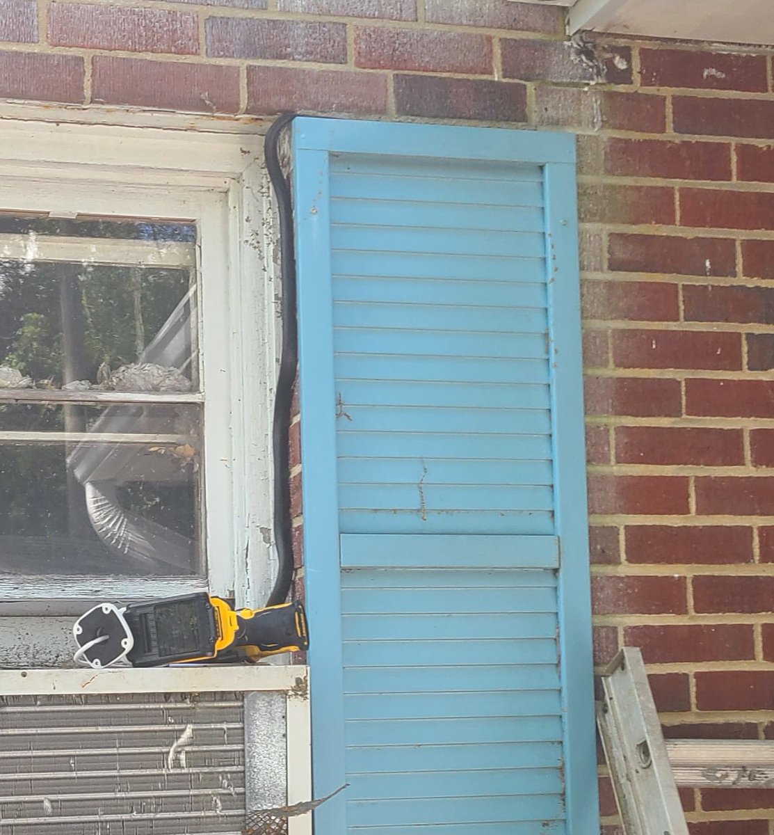 Peter Feddo | 🇺🇸 Stands With Ukraine 🇺🇦🌻 tweet media