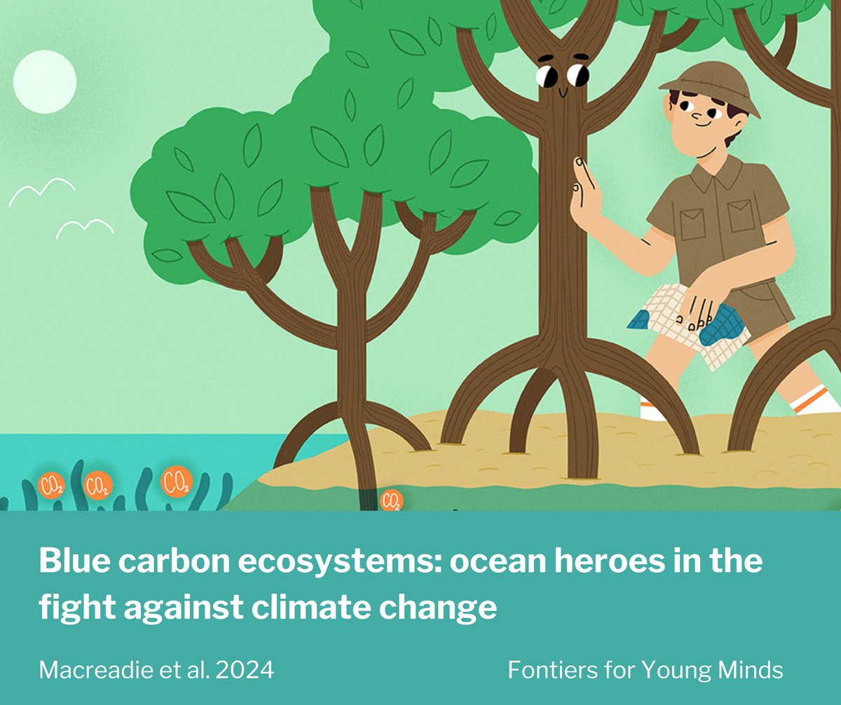 Our latest article, featured in @FrontYoungMinds, dives into the fascinating world of #bluecarbon! Co-created with the brilliant minds of youngsters, this fun read shines a spotlight on how coastal wetlands rock as climate change-fighting superheroes🌏