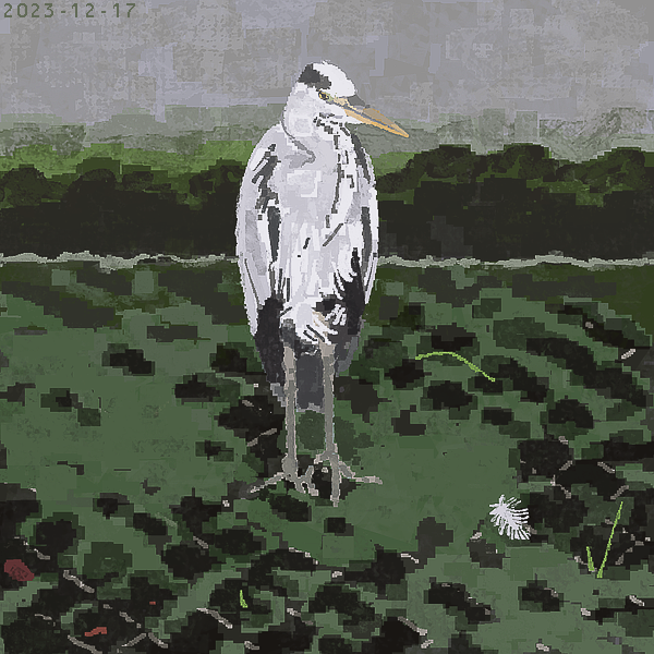 「bird rock」 illustration images(Latest)