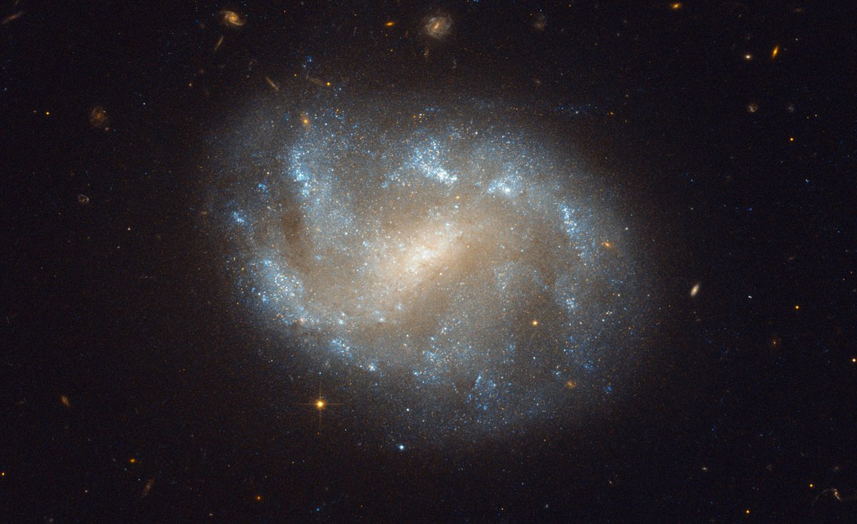 Day 470 - Galaxy NGC 1483

📷Hubble
#Space #Astronomy #Hubble