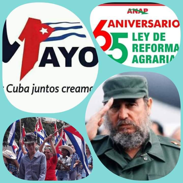 Presente el Buró Nacional de la #AnapCuba 🕊🌟🇨🇺❤️ en el Programa Palmas y Cañas, con su Presidente, <a href="/FelixDuarteOrte/">Félix Duartes Ortega</a> y el acompañamiento de <a href="/UlisesGuilarte/">Ulises Guilarte de Nacimiento</a>, en celebración de la alianza Obrero-Campesina por el 1ero y 17 de Mayo, días de los trabajadores y del Campesinado.