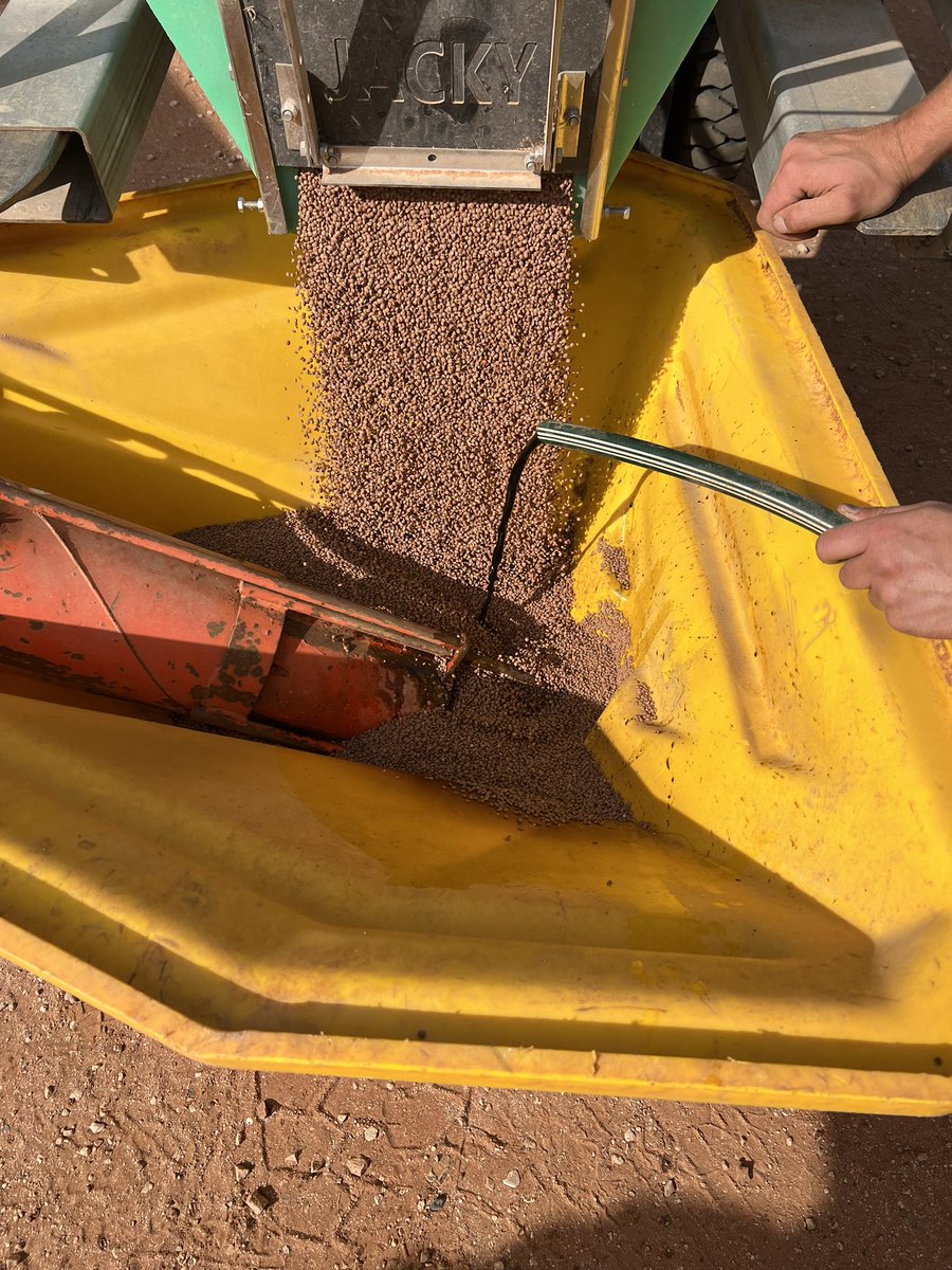 Proud moment sowing hallmark lentils with new acid tolerant rhizobium. Our team brought this to nsw, @GRDCNorth backed us with a scoping study, then engaged a larger team inc @NSWDPI_AGRONOMY to bring to market. Awesome outcome for growers 👏👍 #aggrowagronomyandresearch