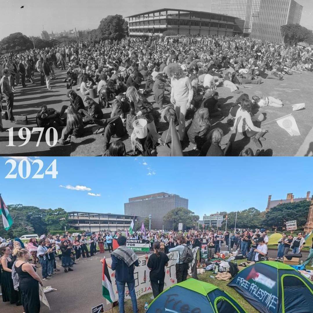 USyd Students for Palestine tweet media