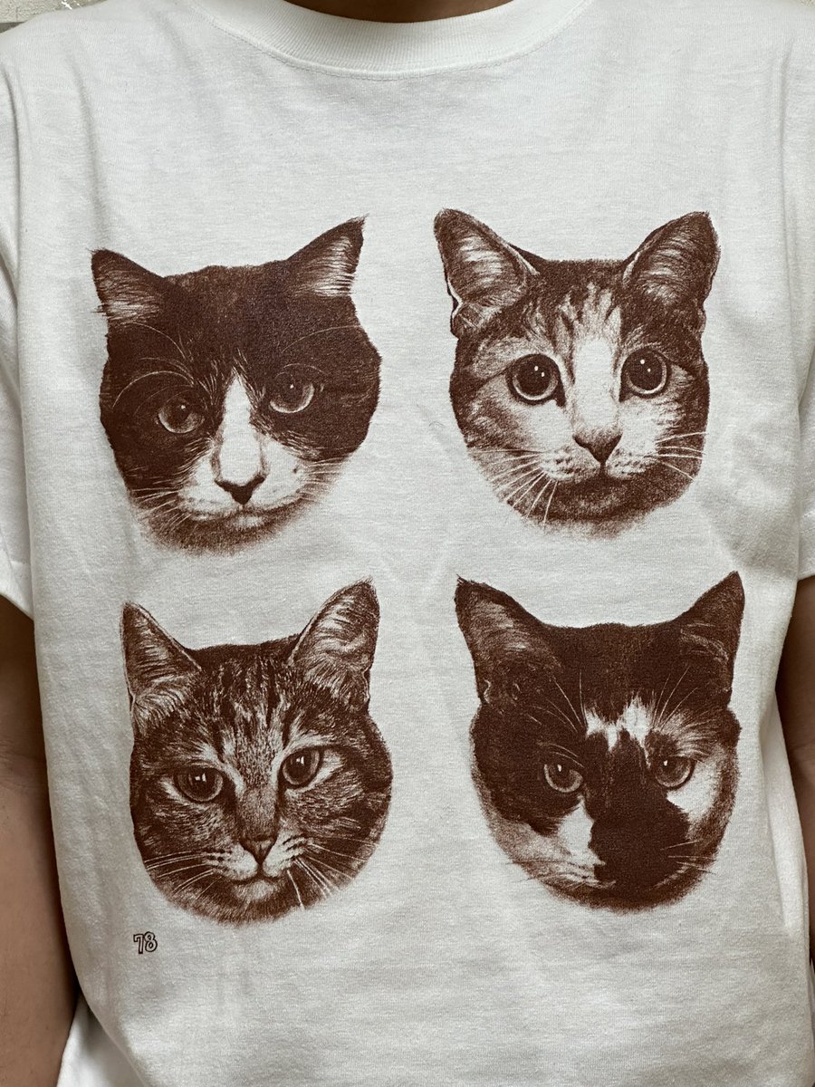 ホホホ座で買った、はっぴいえんど猫Ｔシャツ、朝から妻が「いいな、いいな」と何度も言ってくれる。うれしい。