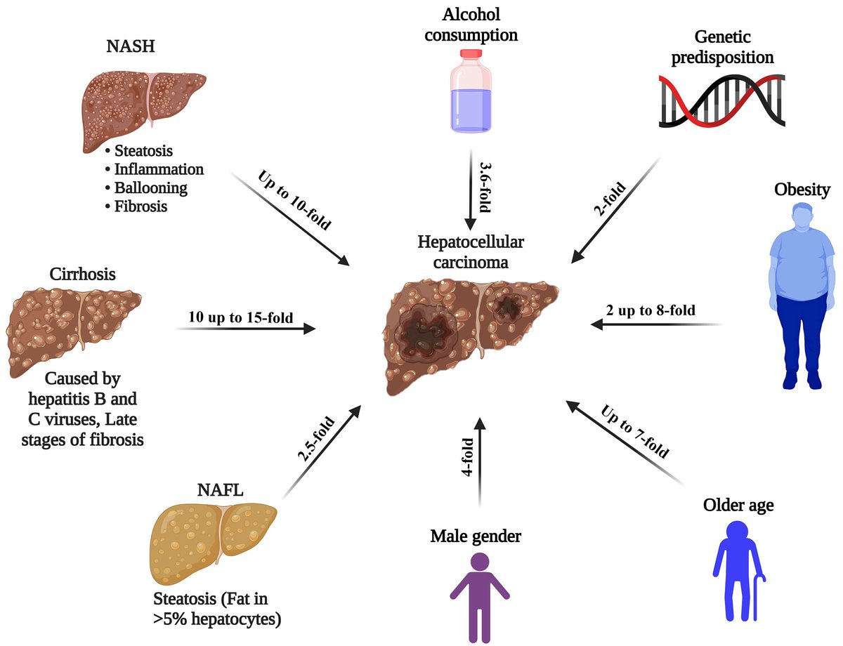 This article first describes the #molecularmechanism of hepatitis B and C viruses in the development of #HCC. Online: oaepublish.com/articles/2394-… PDF: f.oaes.cc/xmlpdf/f5866a7…